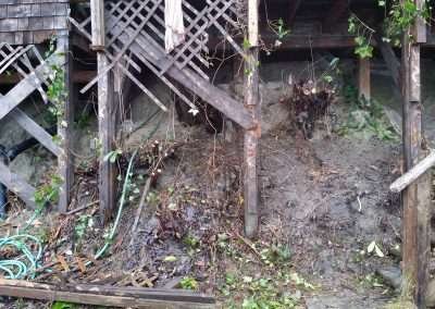 Soil erosion under a house with vines growing on the lattice.