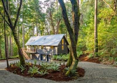 A modern cabin with a gravel driveway winding through the forest, surrounded by tall trees and lush vegetation.