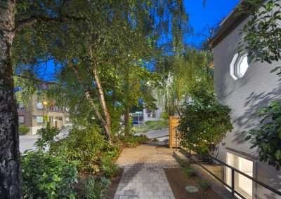 A serene pathway surrounded by trees and plants, leading to the house entrance.