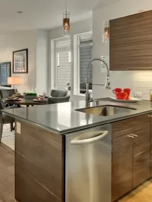 Modern kitchen with a sleek island, stainless steel dishwasher, and dark wood cabinetry.