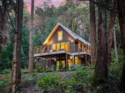 Elevated Cabin in the Woods.jpg e1739121297698
